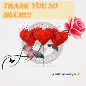 Pack of 10 Greeting Cards (US & CA)